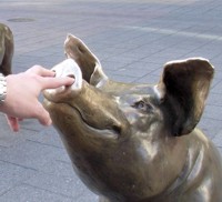 adelaidepork.jpg