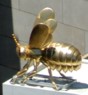 bee.jpg