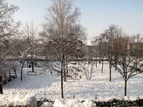 Neve in parchetto via Gramsci - Mira (VE)