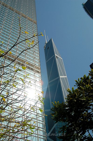 skyscraper.jpg