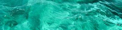 water.jpg
